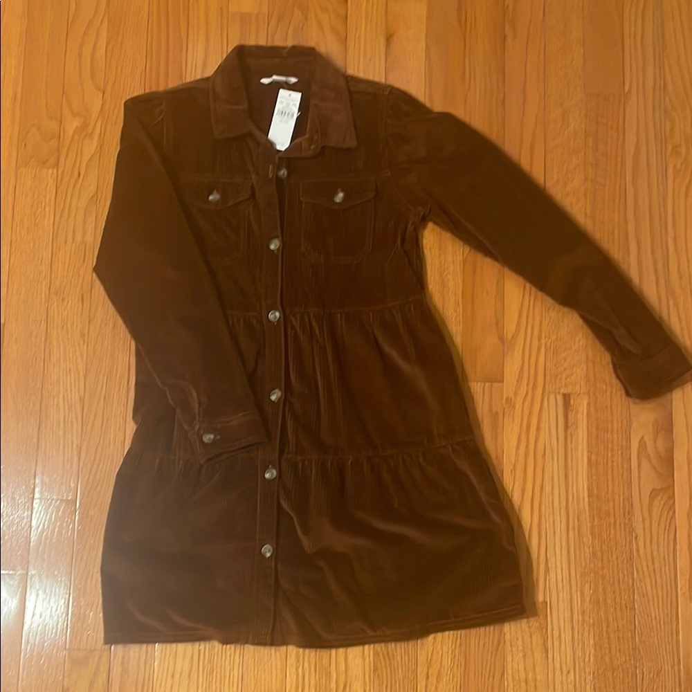 Brown American Eagle Corduroy Button-Up Dress
